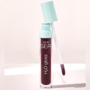Tarte H2O Gloss Lip Gloss NWT in Reflect (Plum) Full Size